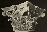 An illustration from Die Ursprungsformen des griechischen Akanthusornamentes und ihre naturlichen Vorbilder (1896)