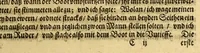 An illustration from Die vier vnd zwantzigste Schiffahrt, in welcher mit wahren Vmbständen beschrieben wird, erstlich Die denckwürdige Reyse nach Ost Indien, S. Wilhelm Issbrands Bontekuhe von Horn: vorgenommen den 28. Decemb. 1618. vnd vollbracht den 16. Novemb. 1625. : Demnach: eine andere Reyse, durch den Commandeur Türck Alberts Raven, nach Spitzbergen, im Jahr 1639. verrichtet. In welchen vnterschiedlich viel merckwürdige Händel vnd Fälle gründlich erzehlet werden. Beneben darzu nothwendigen Kupfferstücken. (1648)