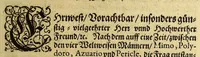 An illustration from Die vier vnd zwantzigste Schiffahrt, in welcher mit wahren Vmbständen beschrieben wird, erstlich Die denckwürdige Reyse nach Ost Indien, S. Wilhelm Issbrands Bontekuhe von Horn: vorgenommen den 28. Decemb. 1618. vnd vollbracht den 16. Novemb. 1625. : Demnach: eine andere Reyse, durch den Commandeur Türck Alberts Raven, nach Spitzbergen, im Jahr 1639. verrichtet. In welchen vnterschiedlich viel merckwürdige Händel vnd Fälle gründlich erzehlet werden. Beneben darzu nothwendigen Kupfferstücken. (1648)