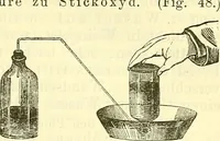 An illustration from Die wissenschaftliche Ausbildung des Apothekerlehrlings und seine Vorbereitung zum Gehülfenexamen : mit Rücksicht auf die neuesten Anforderungen (1884)