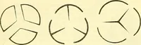 An illustration from Die wissenschaftliche Ausbildung des Apothekerlehrlings und seine Vorbereitung zum Gehülfenexamen : mit Rücksicht auf die neuesten Anforderungen (1884)