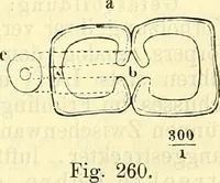 An illustration from Die wissenschaftliche Ausbildung des Apothekerlehrlings und seine Vorbereitung zum Gehülfenexamen : mit Rücksicht auf die neuesten Anforderungen (1884)