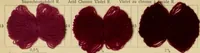 Picture 4 of 43 from Die Wollfarbstoffe des Jahres 1913 = b Wool colours 1913 (1913), leaf 15