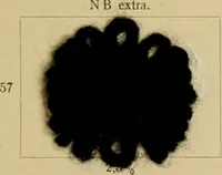 Picture 20 of 43 from Die Wollfarbstoffe des Jahres 1913 = b Wool colours 1913 (1913), leaf 42