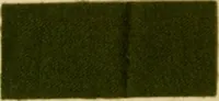 An illustration from Die Wollfarbstoffe des Jahres 1913 = b Wool colours 1913 (1913)