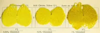 An illustration from Die Wollfarbstoffe des Jahres 1913 = Wool colours 1913 = Les colorants pour laine de l'année 1913 (1913)