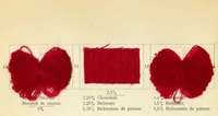 An illustration from Die Wollfarbstoffe des Jahres 1913 = Wool colours 1913 = Les colorants pour laine de l'année 1913 (1913)