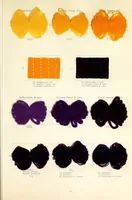 An illustration from Die Wollfarbstoffe des Jahres 1912 = Wool colours 1912 = Les colorants pour laine de l'année 1912 (1912)