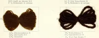 An illustration from Die Wollfarbstoffe des Jahres 1912 = Wool colours 1912 = Les colorants pour laine de l'année 1912 (1912)