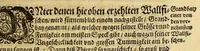 An illustration from Die XXVI, Schiff-Fahrt: Beschreibung einer höchst-mühseligen vnd ganz gefährlichen Reyse, durch den See-Verstandigen Capitain, Herrn Johann Müncken, inn Jahren 1619. vnd 1620. verrichtet. : Nach dem er von Weyland dem Durcheuchtigsten Fürsten vnd Herrn, Herrn Christiano IV. König in Dennemarck, Norwegen, &c. befelcht worden, mit zweyen Schiffen nach dem Freto oder der Enge-Hudsons zu segeln, vmb zu versuchen, ob nicht deren Gegend eine Enge, so Groenland von America abscheide, vnd also eine Durchfahrt nach Ost-Indien zu finden: sampt vorhergehender gardeutlichen Erläuterung dess alten vnd newen Groenlands, zu gegenwärtiger Schiff-Fahrts-Beschreibung insonderheit dienlich (1650)