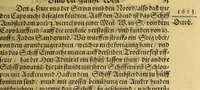 An illustration from Die zwey vnd zwäntzigste Schiffart das ist Historische Eygentliche Beschreibung der gewaltigen, mächtigen Schiffahrt, so vnder dem Admiral Iacob l'Hermite im 1623. 1624. 1625. vnd 1626. Jahr vmb die gantzen Welt beschehen. : Darinn aussführlichen von Adolph Deckern von Strassburg, der dieser Reyss eygner Person beygewohnt, Erzehlt wird, was sich bey solcher vontag zu Tag Merckwürdiges zugetragen vnd vorgangen. Mit vnterschiedlichen Kupfferstücken gezieret (1630)