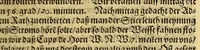 An illustration from Die zwey vnd zwäntzigste Schiffart das ist Historische Eygentliche Beschreibung der gewaltigen, mächtigen Schiffahrt, so vnder dem Admiral Iacob l'Hermite im 1623. 1624. 1625. vnd 1626. Jahr vmb die gantzen Welt beschehen. : Darinn aussführlichen von Adolph Deckern von Strassburg, der dieser Reyss eygner Person beygewohnt, Erzehlt wird, was sich bey solcher vontag zu Tag Merckwürdiges zugetragen vnd vorgangen. Mit vnterschiedlichen Kupfferstücken gezieret (1630)