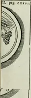 An illustration from Difesa dell' alfabeto degli antichi Toscani pubblicato nel MDCCXXXVII dall' autore del Museo etrusco : disapprovato dall' illustrissimo sig. marchese Scipione Maffei nel tomo V. delle sue Osservazioni letterarie, date in luce in Verona : con tavole e figure (1742)