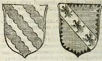 Picture 25 of 68 from Difesa della nobilta napoletana (1655), leaf 118