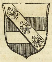Picture 33 of 68 from Difesa della nobilta napoletana (1655), leaf 161