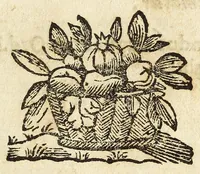 An illustration from Difesa della nobilta napoletana (1655)
