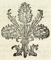Picture 7 of 68 from Difesa della nobilta napoletana (1655), leaf 55