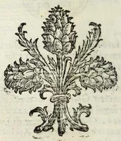 Picture 13 of 68 from Difesa della nobilta napoletana (1655), leaf 68