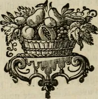 An illustration from Catalogue raisonné des differens effets curieux & rares contenus dans le cabinet de feu M. le chevalier de La Roque : ce cabinet renferme une collection considerable de tableaux, de desseins, & d'estampes des meilleurs maîtres; de figures de bronze & de marbre; de porcelaines anciennes ... de pierres ... de coquilles, & enfin de nombre d'autres morceaux interressans de divers genres (1745)