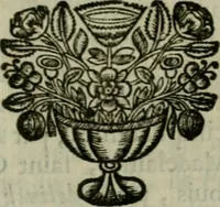 An illustration from Catalogue raisonné des differens effets curieux & rares contenus dans le cabinet de feu M. le chevalier de La Roque : ce cabinet renferme une collection considerable de tableaux, de desseins, & d'estampes des meilleurs maîtres; de figures de bronze & de marbre; de porcelaines anciennes ... de pierres ... de coquilles, & enfin de nombre d'autres morceaux interressans de divers genres (1745)