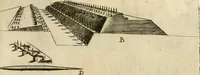 Picture 81 of 87 from Diffesa et offesa delle piazze (1630), leaf 282