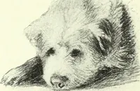 An illustration from The digressions of V., written for his own fun and that of his friends (1910)