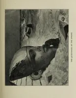 An illustration from The digressions of V. : written for his own fun and that of his friends (1910)