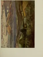 An illustration from The digressions of V. : written for his own fun and that of his friends (1910)