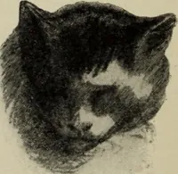 An illustration from The digressions of V. : written for his own fun and that of his friends (1910)