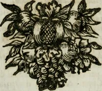 An illustration from Il ritratto di Milano : diuiso in tré libri (1714)