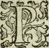 An illustration from Del modo di misvrare : le distantie, le superficie, i corpi, le piante, le prouincie, le prospettiue, & tutte le altre cose terrene, che possono occurrere a gli huomini, secondo le vere regole d'Euclide, & de gli altri piu lodati scrittori (1589)