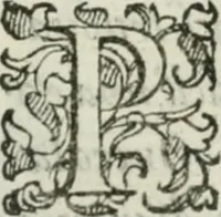 An illustration from Del modo di misvrare : le distantie, le superficie, i corpi, le piante, le prouincie, le prospettiue, & tutte le altre cose terrene, che possono occurrere a gli huomini, secondo le vere regole d'Euclide, & de gli altri piu lodati scrittori (1589)