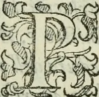 Picture 20 of 167 from Del modo di misvrare : le distantie, le superficie, i corpi, le piante, le prouincie, le prospettiue, & tutte le altre cose terrene, che possono occurrere a gli huomini, secondo le vere regole d'Euclide, & de gli altri piu lodati scrittori (1589), leaf 28