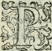 Picture 32 of 167 from Del modo di misvrare : le distantie, le superficie, i corpi, le piante, le prouincie, le prospettiue, & tutte le altre cose terrene, che possono occurrere a gli huomini, secondo le vere regole d'Euclide, & de gli altri piu lodati scrittori (1589), leaf 56