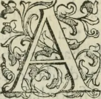 An illustration from Del modo di misvrare : le distantie, le superficie, i corpi, le piante, le prouincie, le prospettiue, & tutte le altre cose terrene, che possono occurrere a gli huomini, secondo le vere regole d'Euclide, & de gli altri piu lodati scrittori (1589)