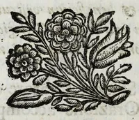 An illustration from Dimostrationi d' allegrezza fatte dagl' illustrissimi abati, e Collegio de' signori conti, e caualieri giurisconsulti : con l' occasione dell' ingresso nello stesso Collegio dell' eminentissimo signor cardinale Luigi Omodei (1692)