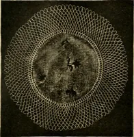 Picture 151 of 180 from The dining room and its appointments (1896), leaf 110