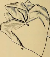 Picture 172 of 180 from The dining room and its appointments (1896), leaf 118