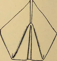 An illustration from The dining room and its appointments (1896)