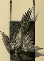 An illustration from The dining room and its appointments (1896)