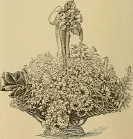 An illustration from The dining room and its appointments (1896)