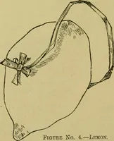Picture 31 of 180 from The dining room and its appointments (1896), leaf 33