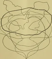 Picture 35 of 180 from The dining room and its appointments (1896), leaf 35