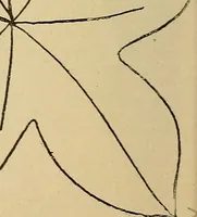 An illustration from The dining room and its appointments (1896)