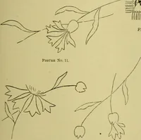 Picture 74 of 180 from The dining room and its appointments (1896), leaf 59