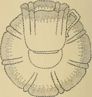 Picture 79 of 180 from The dining room and its appointments (1896), leaf 60
