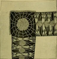 Picture 131 of 180 from The dining room and its appointments (1896), leaf 99