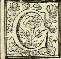 Picture 22 of 193 from D. Ioannis de Solorzano Pereira ... Emblemata centum, regio politica : ligneis laminis affabre caelata, vividisque et limitatis carminibus explicata, & singularibus commentarijs affatim illustrata : quibus, quicquid ad regum institutionem, et rectam reip. administrationem conducere & pertinere videtur, summo studio disseritur ... : cum quadruplici indice absolutissimo .. (1653), leaf 108