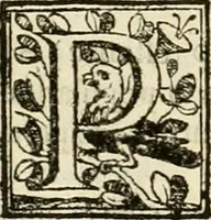An illustration from D. Ioannis de Solorzano Pereira ... Emblemata centum, regio politica : ligneis laminis affabre caelata, vividisque et limitatis carminibus explicata, & singularibus commentarijs affatim illustrata : quibus, quicquid ad regum institutionem, et rectam reip. administrationem conducere & pertinere videtur, summo studio disseritur ... : cum quadruplici indice absolutissimo .. (1653)