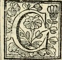 An illustration from D. Ioannis de Solorzano Pereira ... Emblemata centum, regio politica : ligneis laminis affabre caelata, vividisque et limitatis carminibus explicata, & singularibus commentarijs affatim illustrata : quibus, quicquid ad regum institutionem, et rectam reip. administrationem conducere & pertinere videtur, summo studio disseritur ... : cum quadruplici indice absolutissimo .. (1653)